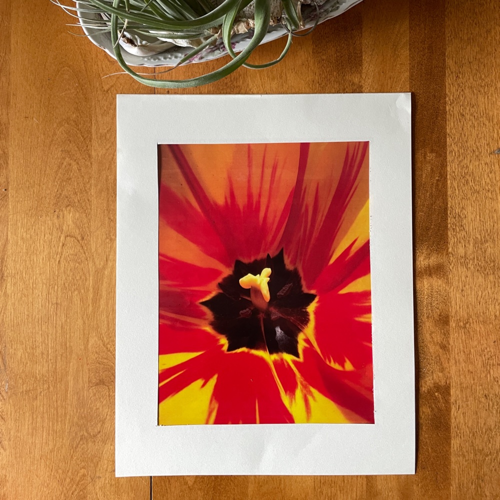 Original Limited Edition Art Photos